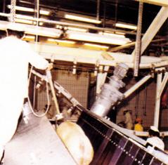MH 922 V-shape conveyor